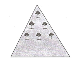 Người ta trồng 465 cây trong một khu vườn hình tam giác theo cách sau: Hàng thứ nhất có 1 cây, hàng thứ hai có 2 cây và cứ như thế mỗi hàng sau sẽ có nhiều hơn hàng ngay trước đó 1 cây. Hỏi tổng số hàng cây trong khu vườn bằng bao nhiêu? (ảnh 1)