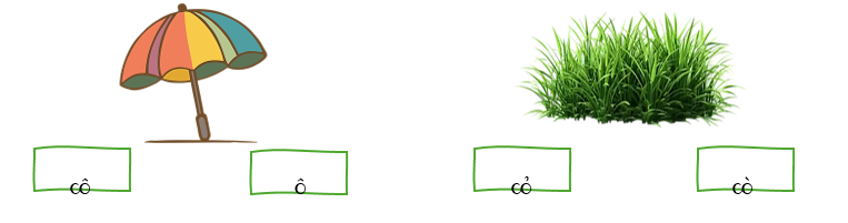 Tô màu vào chữ đúng với hình: (ảnh 1)