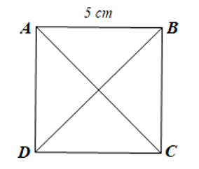 Cho hình vuông ABCD cạnh bằng 5cm. Khẳng định nào dưới đây là đúng? (ảnh 1)