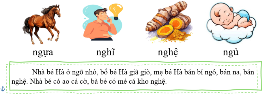 Tập đọc ngựa (ảnh 1)