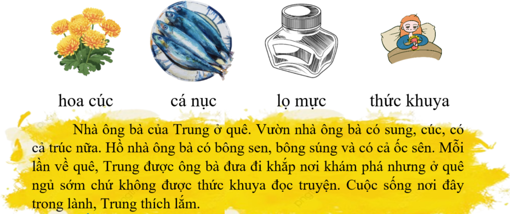 Tập đọc hoa cúc (ảnh 1)