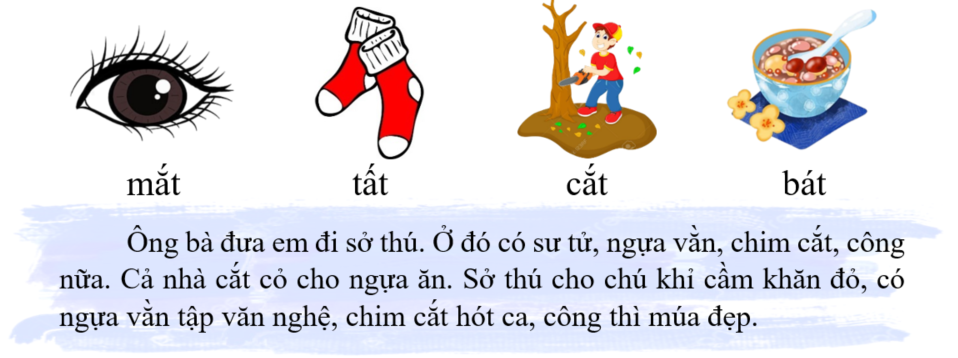 Tập đọc mắt tất (ảnh 1)