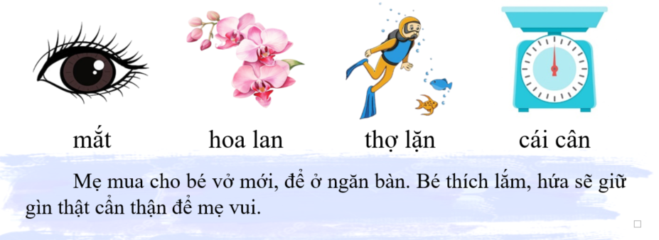 Tập đọc mắt hoa lan (ảnh 1)