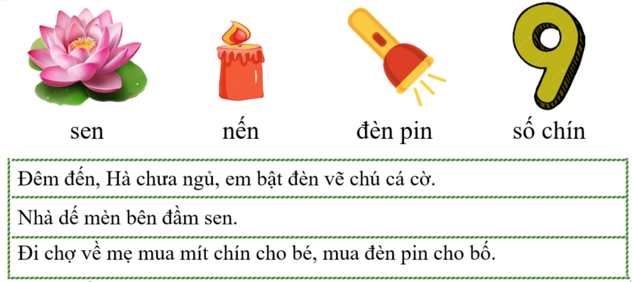 Tập đọc sen nến (ảnh 1)