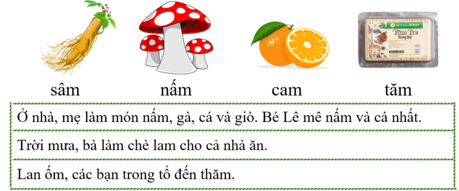 Tập đọc sâm nấm (ảnh 1)