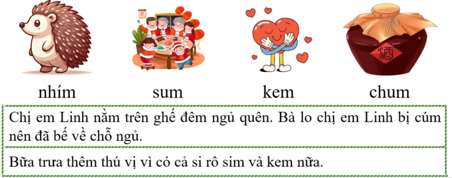 Tập đọc nhím sum (ảnh 1)