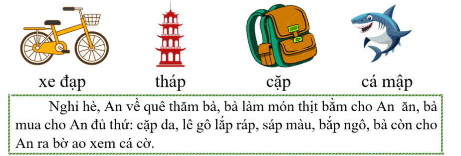 Tập đọc xe đạp (ảnh 1)