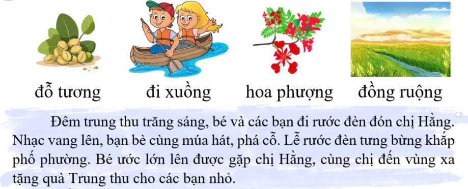 Tập đọc đỗ tương (ảnh 1)