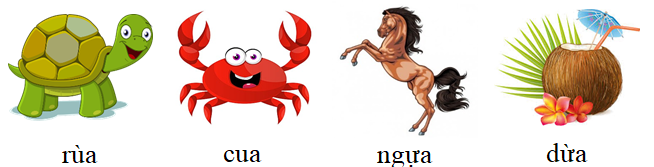 Tập đọc  rùa cua ngựa  (ảnh 1)