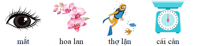 Tập đọc hoa lan thợ lặn cái cân (ảnh 1)