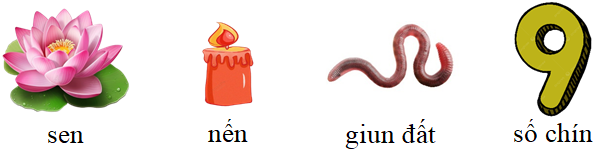 Tập đọc sen nến giun đất số chín (ảnh 1)