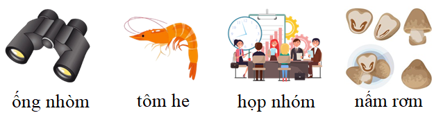 Tập đọc ống nhòm tô he họp nhóm nấm (ảnh 1)