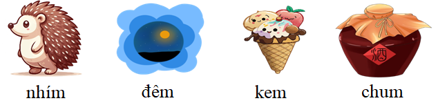 Tập đọc nhím đêm kem chum (ảnh 1)