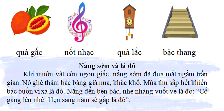 Tập đọc  quả gấc nốt nhạc quả lắc bậc thang (ảnh 1)