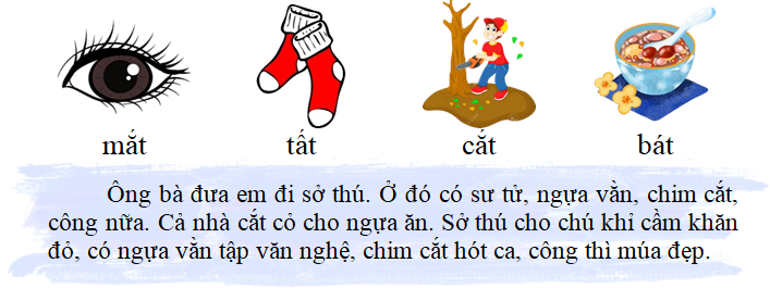 Tập đọc mắt tất cắt  (ảnh 1)