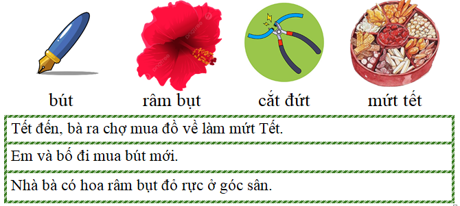 Tập đọc bút râm bụt cắt đứt mứt  (ảnh 1)