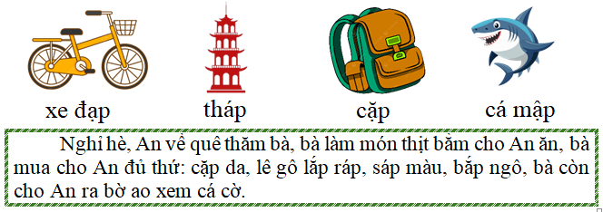 Tập đọc xe đạp tháp cặp cá  (ảnh 1)