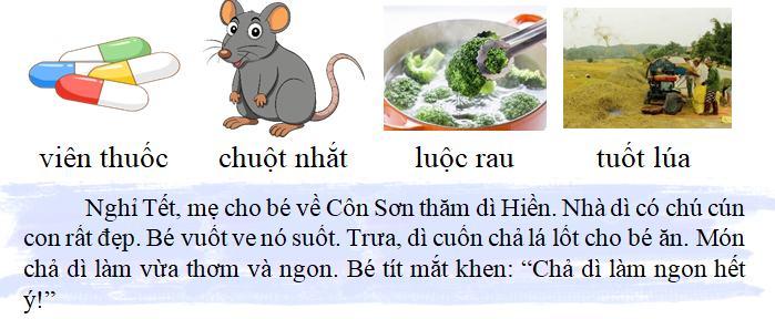 Tập đọc  viên thuốc chuột nhắt (ảnh 1)