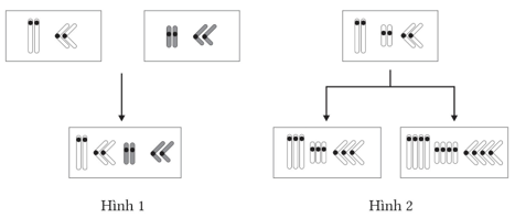 A diagram of a diagram

AI-generated content may be incorrect.