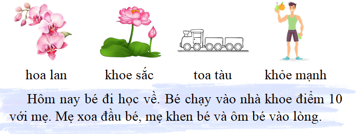 Tập đọc hoa lan khoe sắc toa tàu  (ảnh 1)