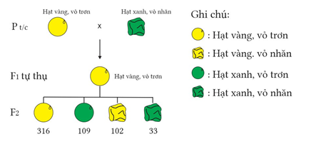 A diagram of a tree

AI-generated content may be incorrect.