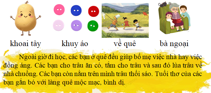 Tập đọc khoai tây khuy áo (ảnh 1)