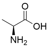 Hợp chất 2- aminopropanoic acid có kí hiệu là (ảnh 1)