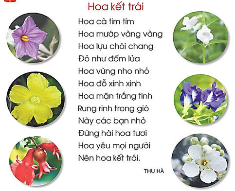 A group of flowers with text
AI-generated content may be incorrect.