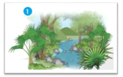 Bức tranh dưới đây tương ứng với câu thơ nào:   (ảnh 1)