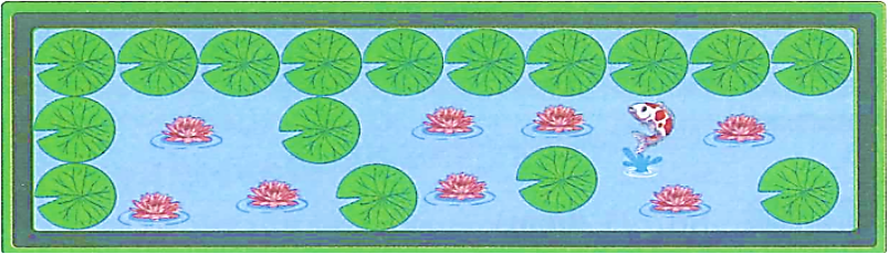 Bố An xây một cái bể cá hình chữ nhật (như bức tranh) và trồng hoa súng trong đó. Mỗi lá súng có dạng hình tròn đường kính 3 dm. Vậy chiều dài của bể cá là:  (ảnh 1)