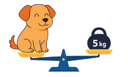 Con chó trong hình bên nặng: A. 3 kg B. 5 kg C. 4 kg D. 6 kg (ảnh 1)