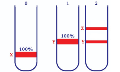 Một nhóm nghiên cứu thực hiện thí nghiệm để kiểm chứng mô hình nhân đôi DNA ở vùng nhân của tế bào nhân sơ (ảnh 1)