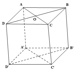 Cho hình hộp  A B C D . A ′ B ′ C ′ D ′  như hình vẽ.    Mệnh đề nào sau đây sai? (ảnh 2)