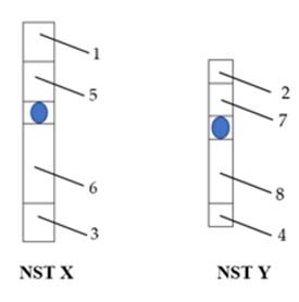 Cho các trường hợp sau, biết rằng cá thể XY đang xét có kiểu gen đồng hợp: (ảnh 1)