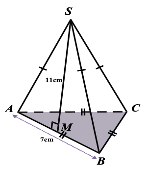 Cho một hình chóp tam giác đều S.ABC có độ dài cạnh đáy AB bằng 7cm và đường cao của tam giác cân SAB là SM = 11 cm. Diện tích xung quanh của hình chóp tam giác đều [S.ABC] bằng (ảnh 1)