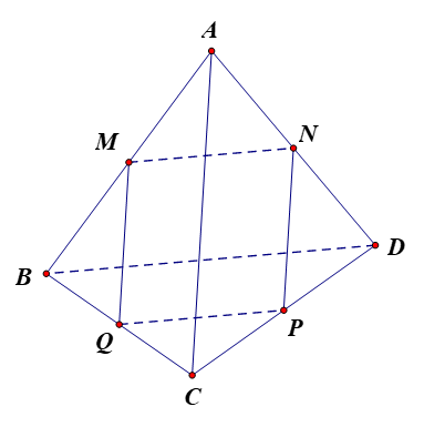 Cho tứ diện A B C D . Gọi M , N , P , Q lần lượt là trung điểm của các cạnh A B , A D , C D , B C . Mệnh đề nào sau đây sai? (ảnh 1)