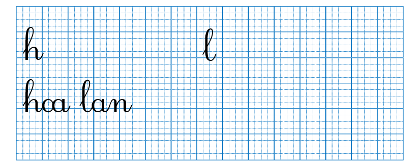 Tập viết  hoa lan (ảnh 1)