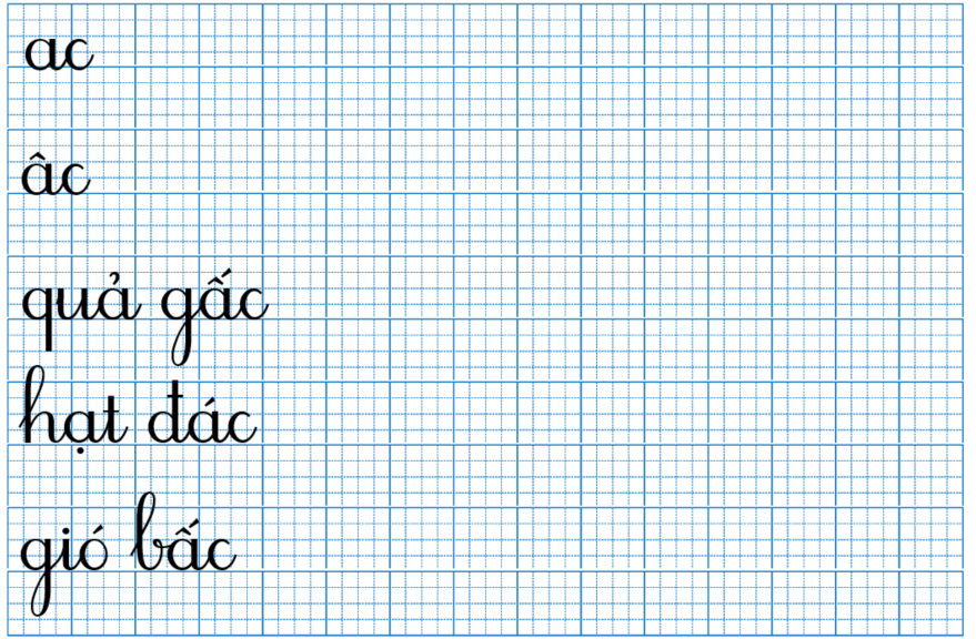 Tập viết ac (ảnh 1)