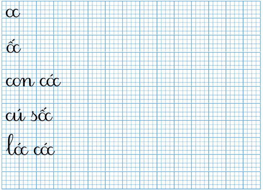 Tập viết oc ốc (ảnh 1)