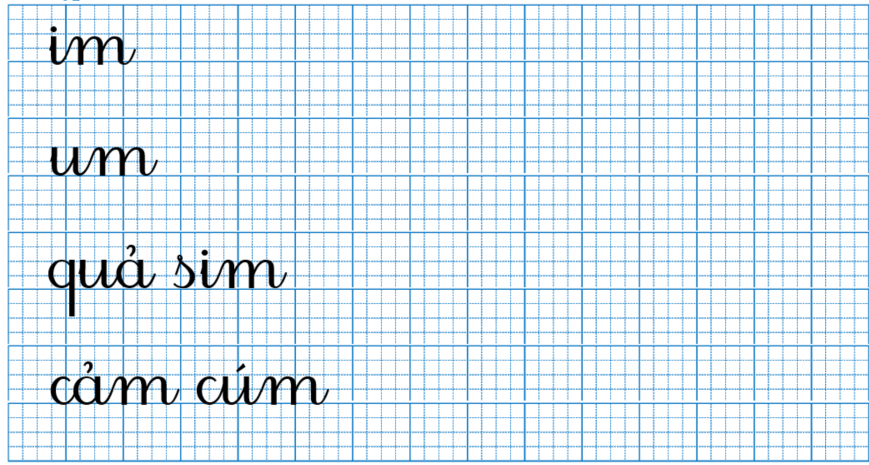Tập viết im um (ảnh 1)