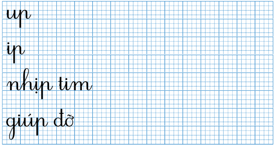 Tập viết up ip (ảnh 1)