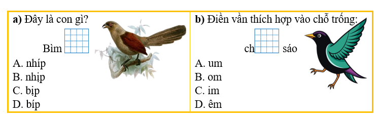 Khoanh vào đáp án đúng nhất: (ảnh 1)