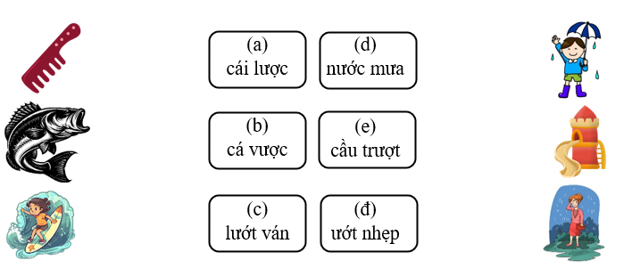 Nối đúng hình với chữ (ảnh 1)