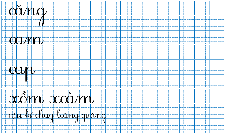 Luyện viết căng cam (ảnh 1)