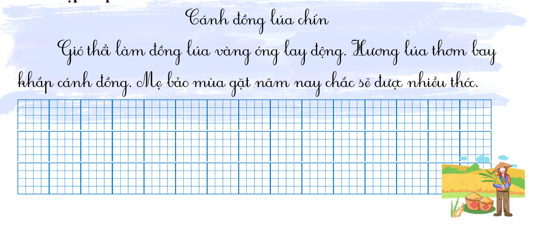 Tập chép cánh đồng lúa chín (ảnh 1)