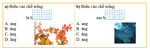 Khoanh vào đáp án đúng nhất: (ảnh 1)