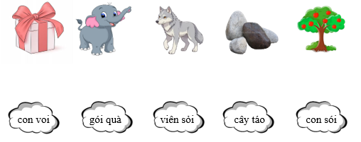 Nối ô chữ với hình:  (ảnh 1)