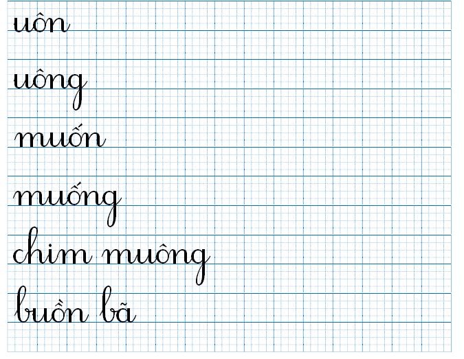 Tập viết uôn uông muốn (ảnh 1)