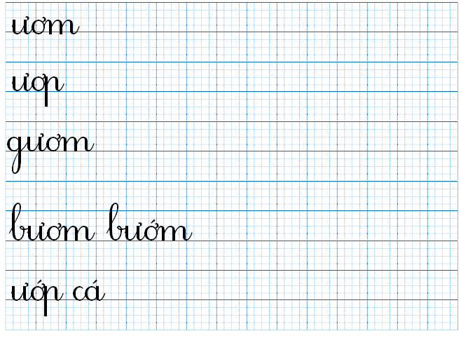 Tập viết ươm ươp gươm (ảnh 1)
