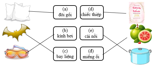 Nối đúng hình ảnh với từ ngữ (ảnh 2)
